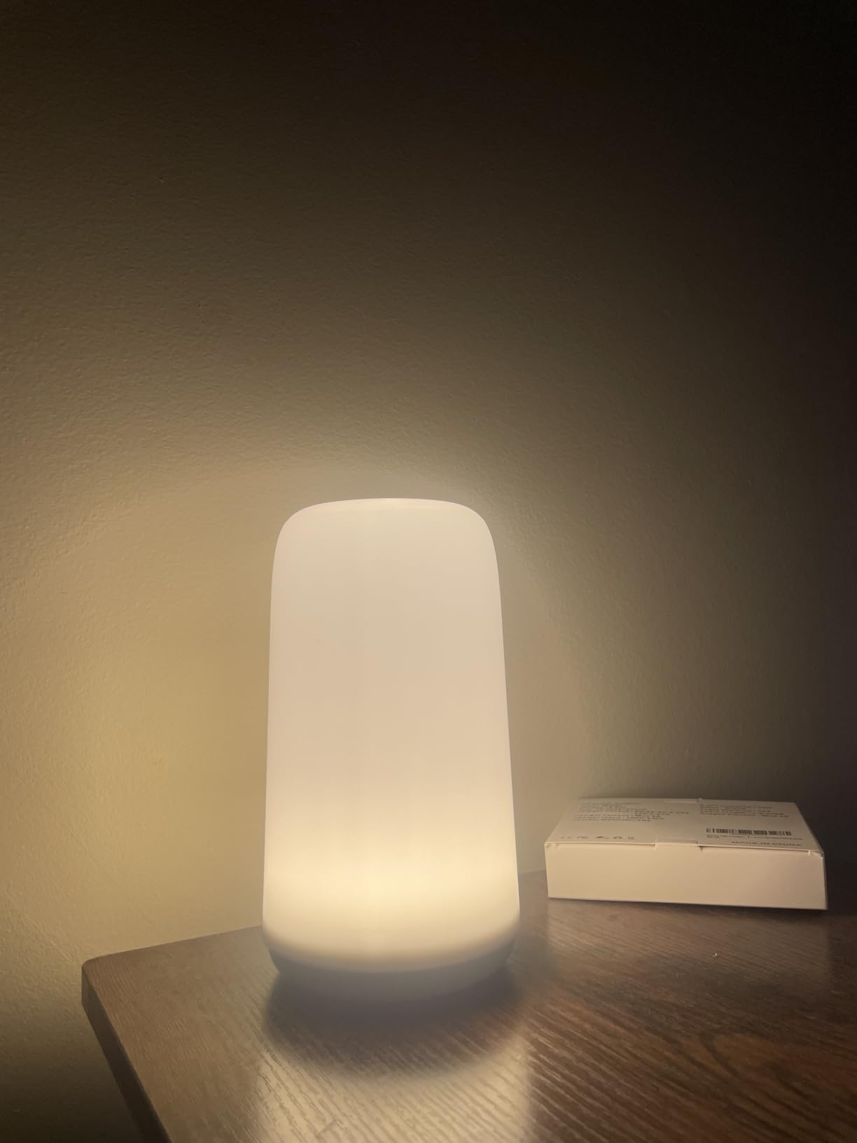 Touch Bedside Table LED Lamp, [Sleek Design & RGB Mode] Multi-Color Dimmable with Warm White Lights, Birthday Gifts for Women Mom, Smart Nightstand Small Lamp for Bedroom Living Room Home Decor customer photo 1