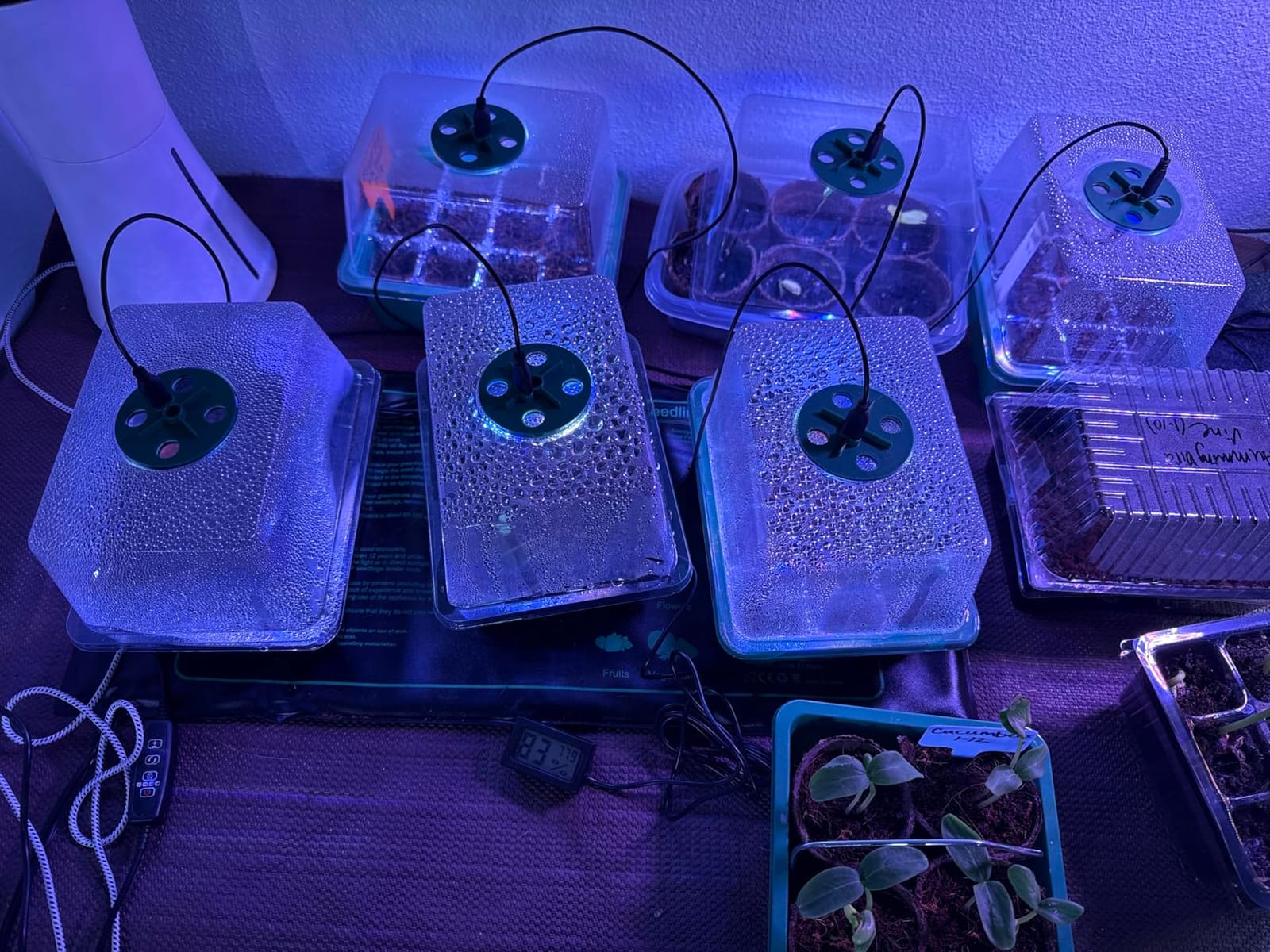 Seed Starter Trays with Grow Lights and Heat Mat, 72 Cells Seed Starter Kit with Lights, 3 Lighting Mode, 4 Timing Set, Germination Kit for Seed Starting Trays with High Humidity Control Domes customer photo 2