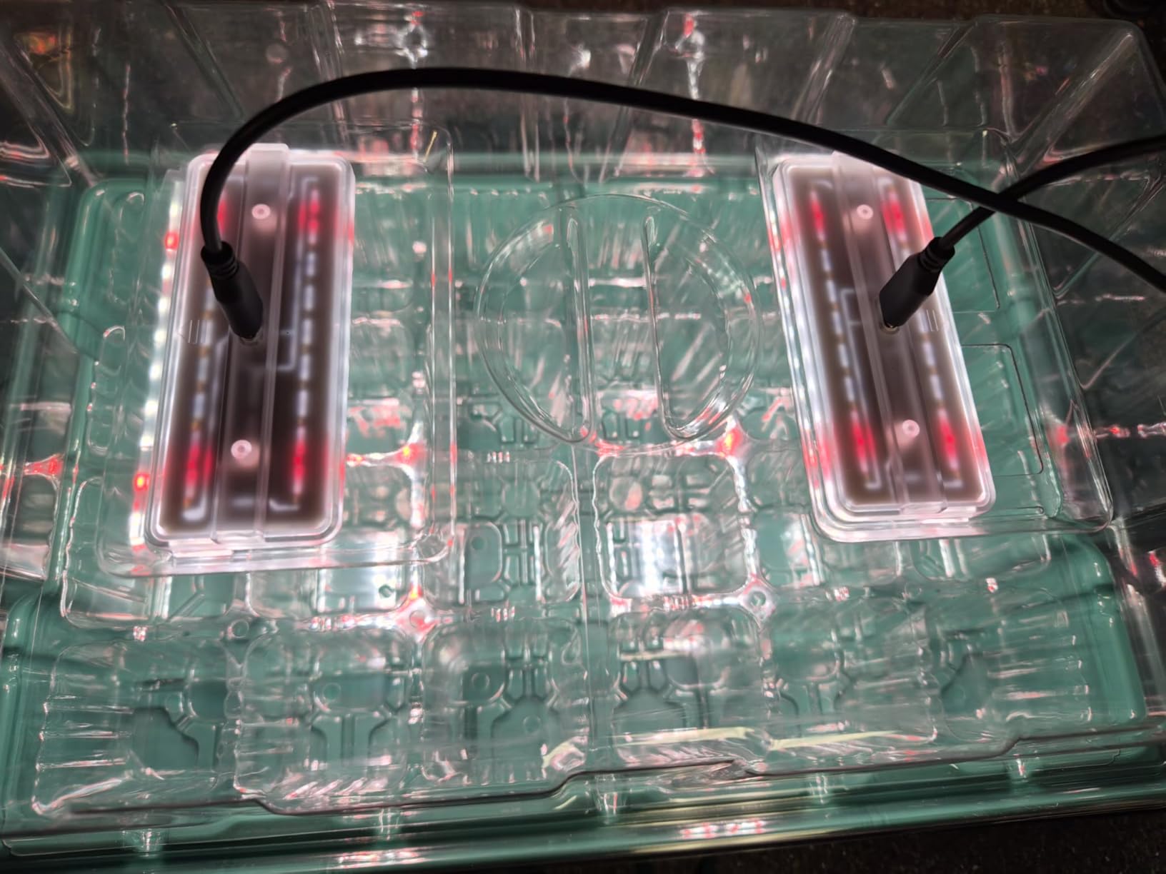 Seed Starter Trays with Grow Lights and Heat Mat, Plant Starting Kit 4 Timing Set Humidity Domes Heightened Lids for Small Mini Greenhouse Germination Seeds Growing Starting (6SET 6TRAY 72 SMALL CELL) customer photo 2