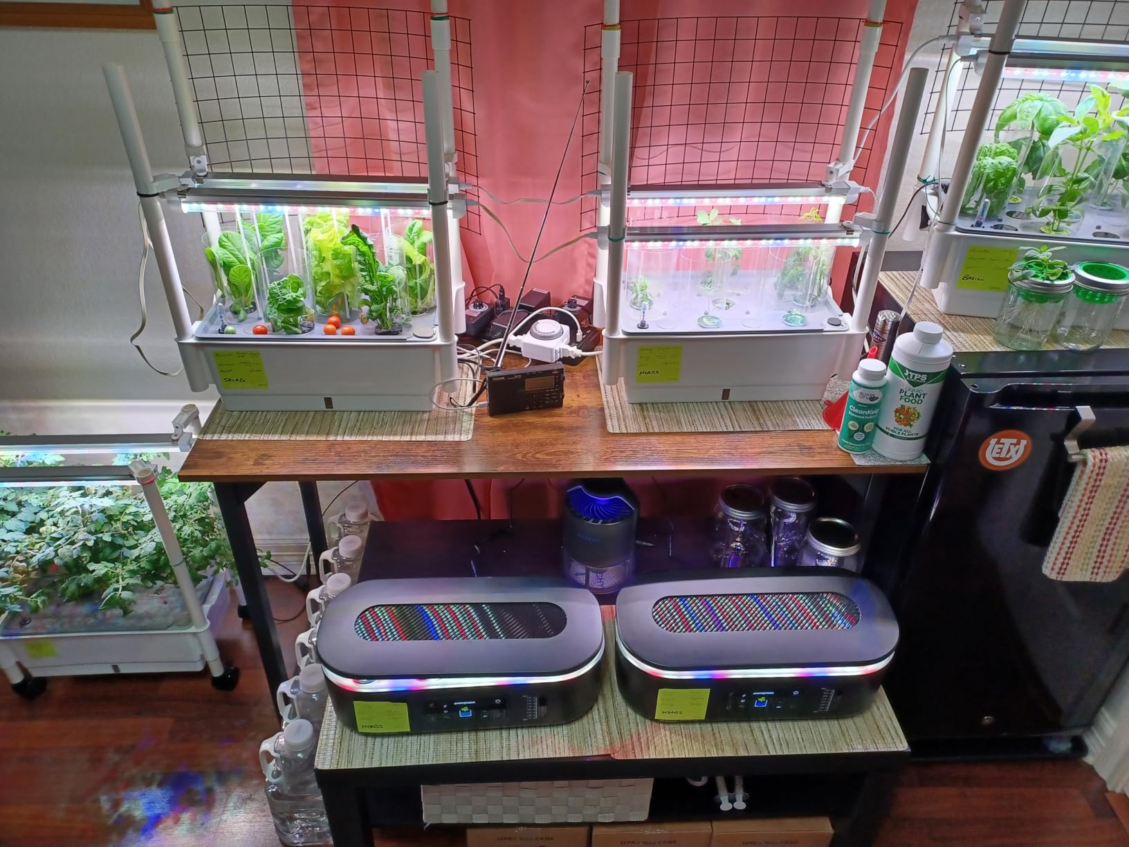 Hydroponics Growing System,AOONEG 42Pods Indoor Herb Garden with LED Grow Light,Hydroponics Growing System Kit with Automatic Timer,Pump System,Adjustable Height,No Seed customer photo 2