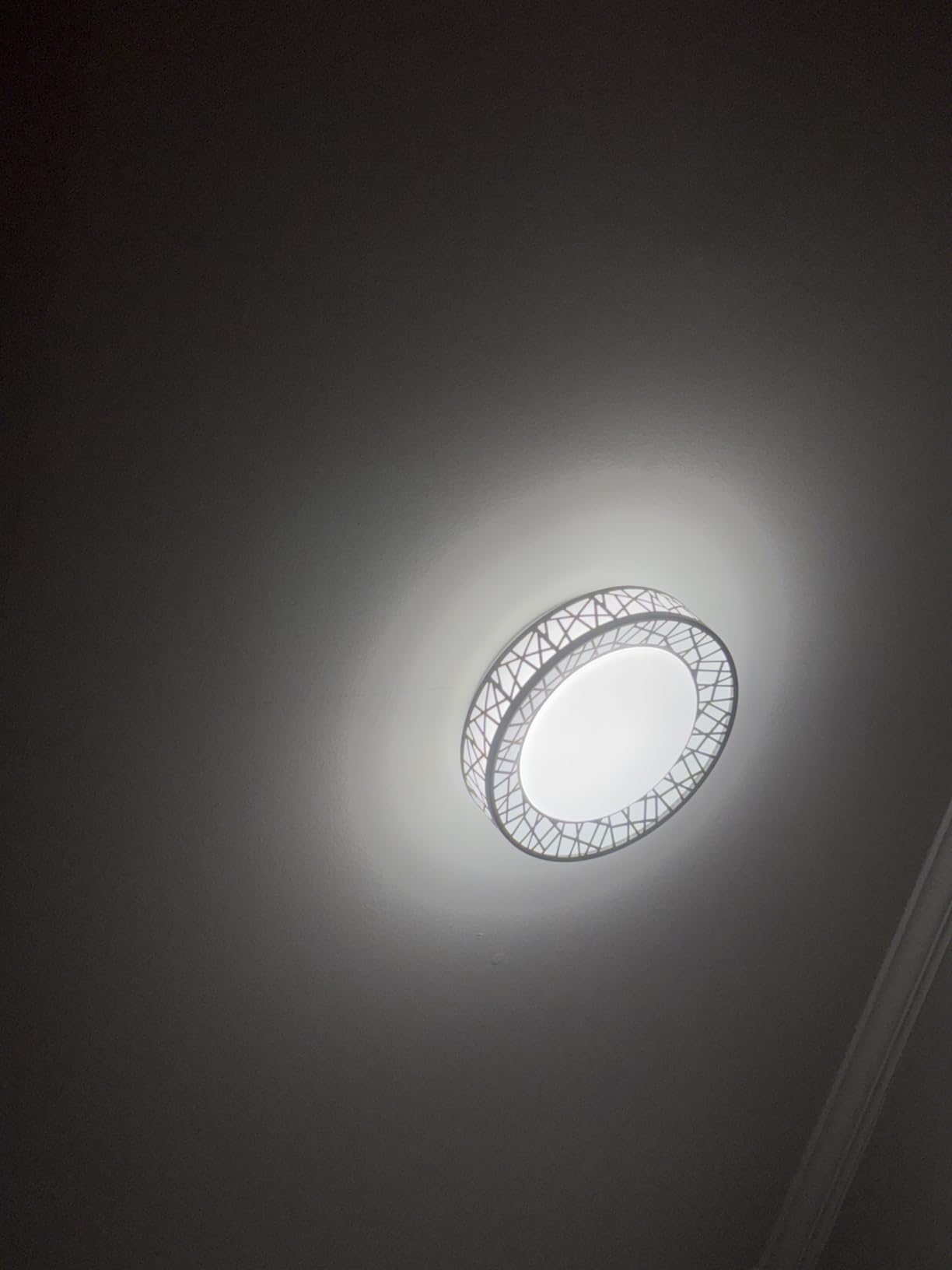 Lightania 14 Inch Bird's Nest Flush Mount Ceiling Light, 24W, 5CCT customer photo 1