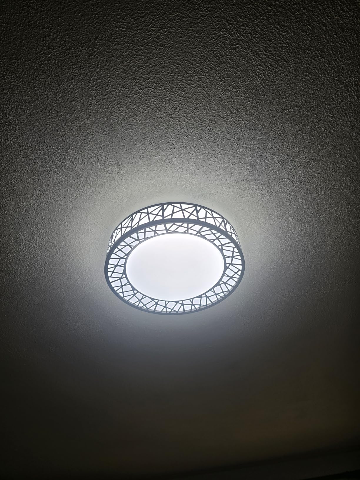 Lightania 14 Inch Bird's Nest Flush Mount Ceiling Light, 24W, 5CCT customer photo 2