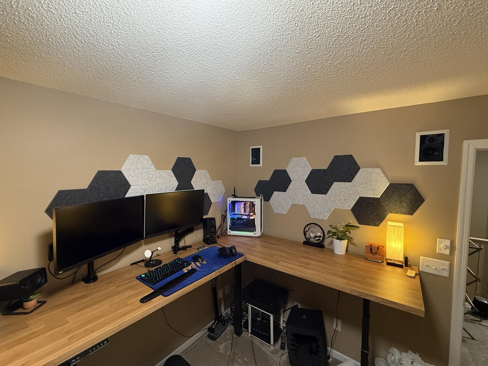 TONOR 12 Pack High Density Hexagon Acoustic Panels for Wall, 12