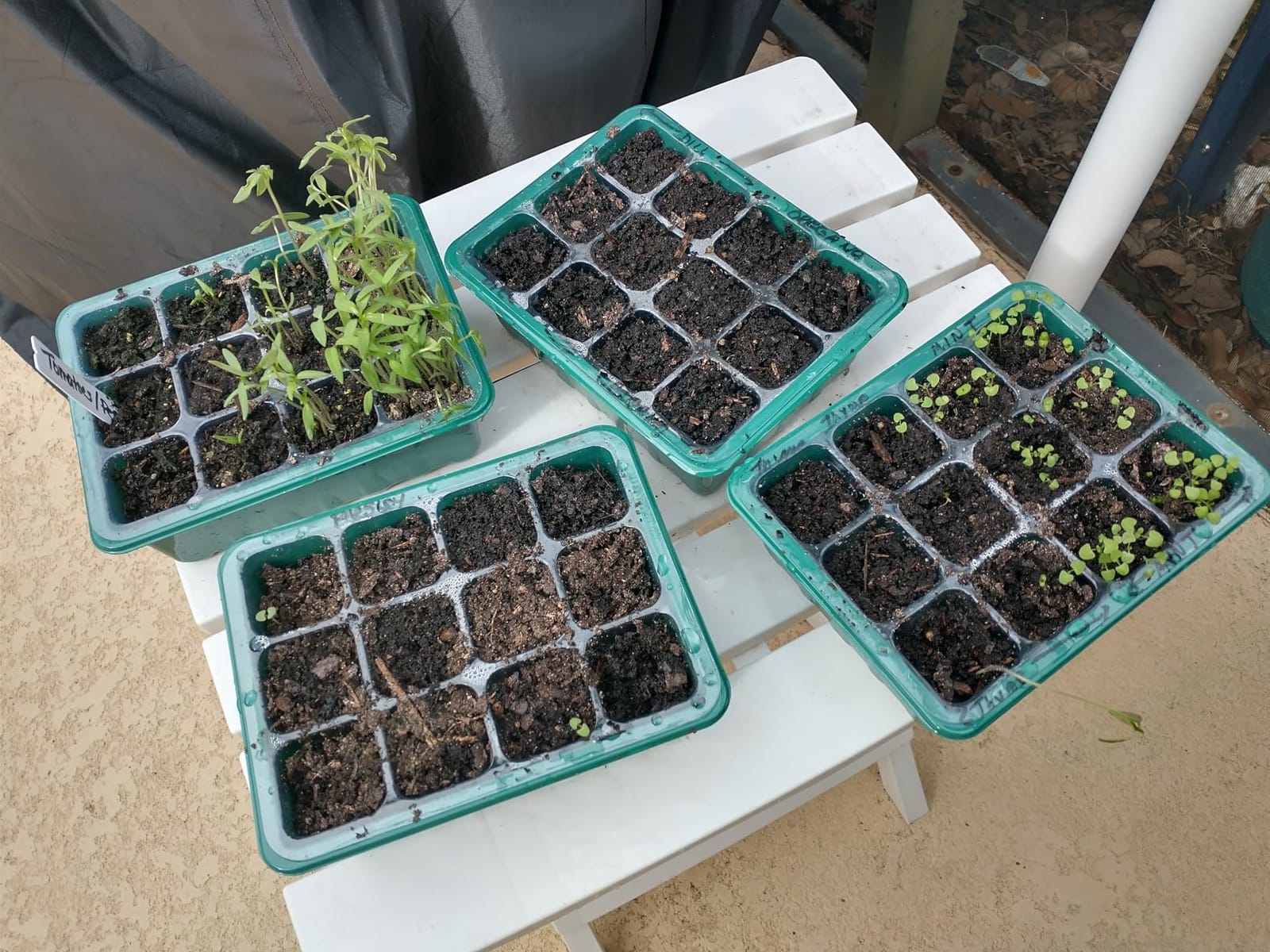 Sckee 6 Pack Seed Starter Tray with 10