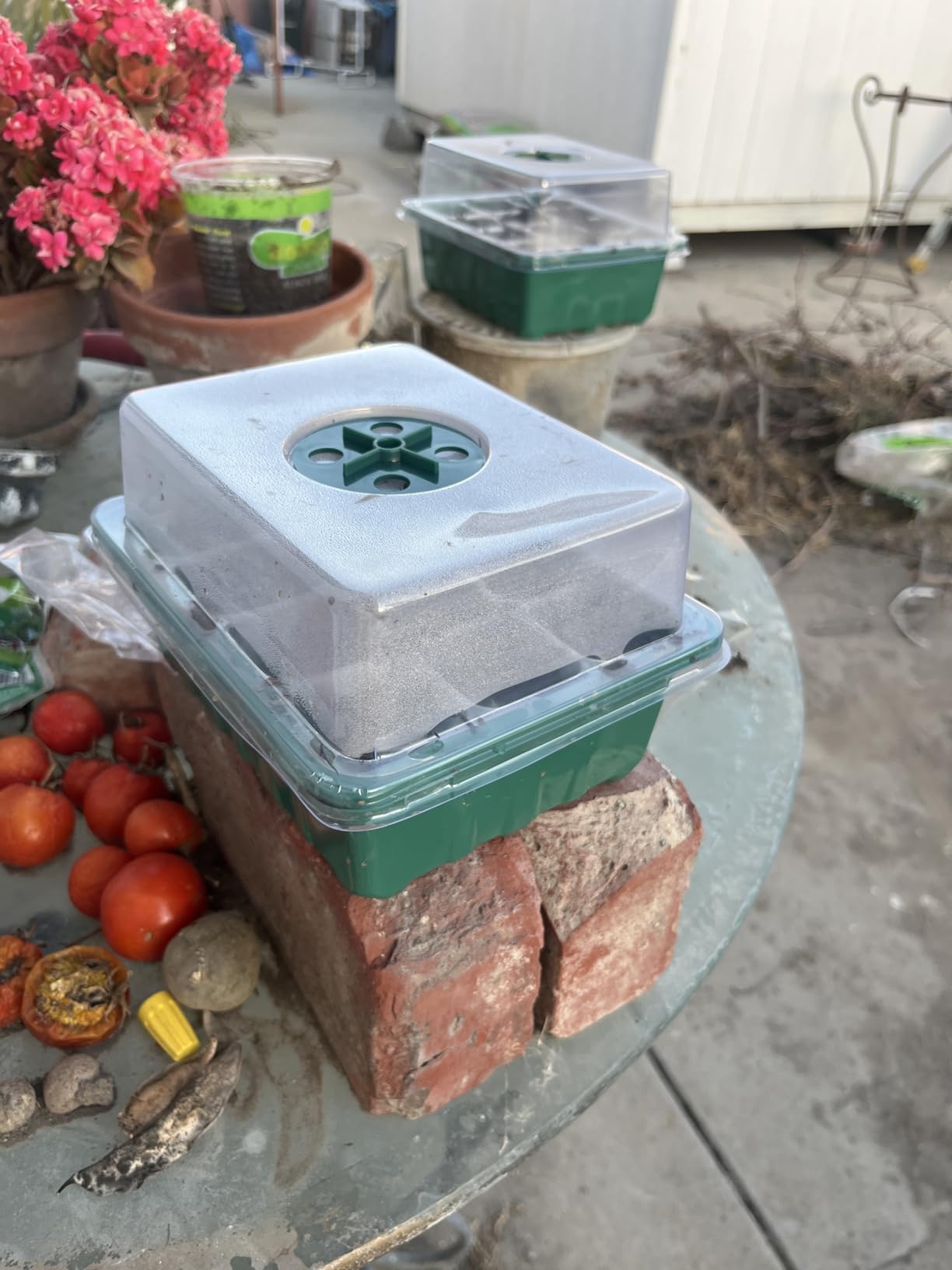 Sckee 6 Pack Seed Starter Tray with 10